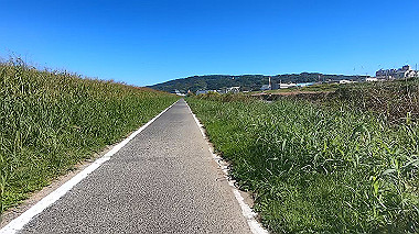 20221020_gx017063.mp4_snapshot_00.01_thumb.jpg
