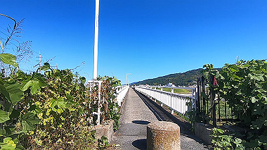 20221020_gx017064.mp4_snapshot_00.00_thumb.jpg