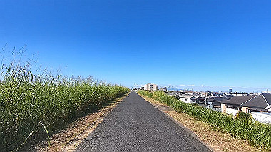 20221020_gx017065.mp4_snapshot_00.00_thumb.jpg