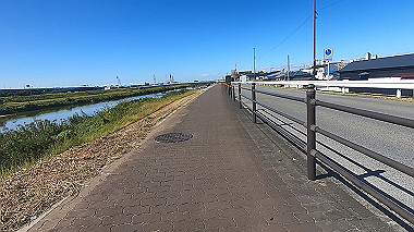 20221020_gx017067.mp4_snapshot_00.46_thumb.jpg