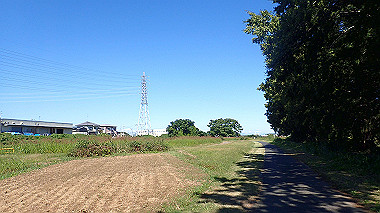 20221020_pa201913_thumb.jpg