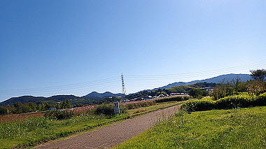 20221020_pa201916_thumb.jpg