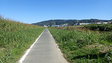20221020_pa201936_thumb.jpg