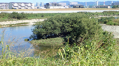 20221020_pa202003_thumb.jpg