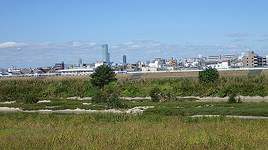 20221020_pa202012_thumb.jpg