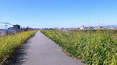 20221020_pa202013_thumb.jpg