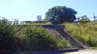 20221020_pa202088_thumb.jpg