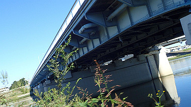 20221020_pa202091_thumb.jpg