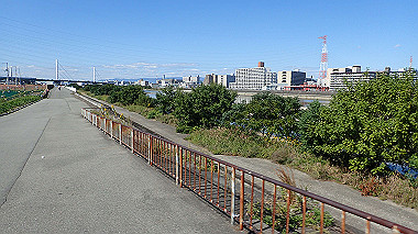 20221020_pa202108_thumb.jpg