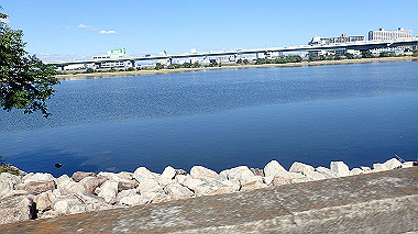 20221020_pa202129_thumb.jpg