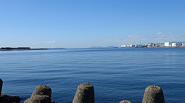 20221020_pa202134_thumb.jpg