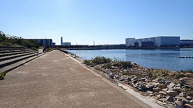 20221020_pa202139_thumb.jpg