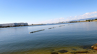 20221020_pa202140_thumb.jpg