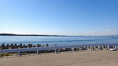 20221020_pa202151_thumb.jpg