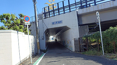 20221020_pa202228_thumb.jpg