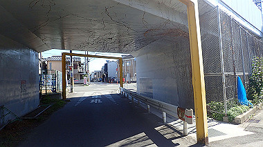 20221020_pa202267_thumb.jpg
