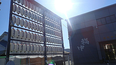 20221020_pa202281_thumb.jpg
