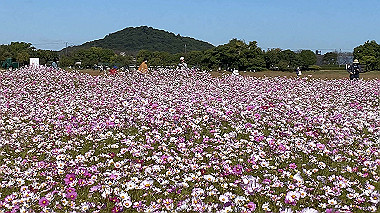 20221026_11-18-06_thumb.jpg