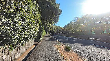 20221026_gx017069.mp4_snapshot_00.06_thumb.jpg