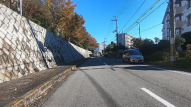 20221026_gx017070.mp4_snapshot_00.02_thumb.jpg