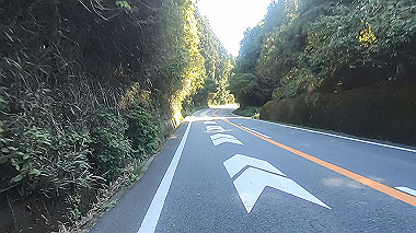 20221026_gx017079.mp4_snapshot_00.30_thumb.jpg