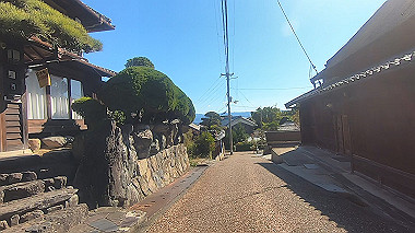 20221026_gx017080.mp4_snapshot_00.12_thumb.jpg
