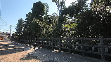 20221026_gx017081.mp4_snapshot_02.52_thumb.jpg