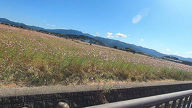 20221026_gx017087.mp4_snapshot_02.34_thumb.jpg