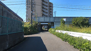 20221026_gx017093.mp4_snapshot_05.06_thumb.jpg