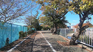 20221026_gx017095.mp4_snapshot_02.09_thumb.jpg