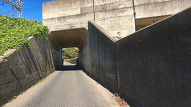 20221026_gx017096.mp4_snapshot_00.07_thumb.jpg