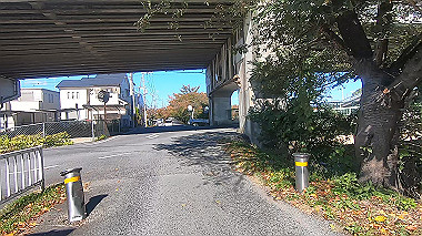 20221026_gx017097.mp4_snapshot_00.03_thumb.jpg
