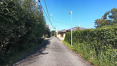 20221026_gx017098.mp4_snapshot_00.18_thumb.jpg