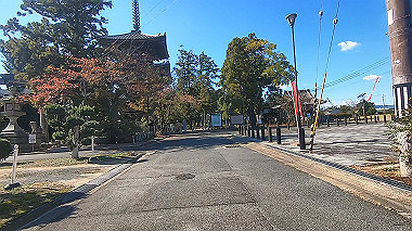 20221026_gx017100.mp4_snapshot_00.23_thumb.jpg
