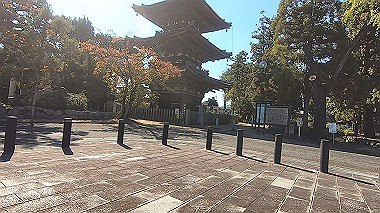 20221026_gx017100.mp4_snapshot_00.35_thumb.jpg