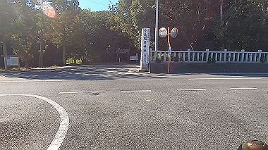 20221026_gx017104.mp4_snapshot_02.39_thumb.jpg