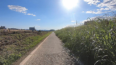 20221026_gx017123.mp4_snapshot_00.01_thumb.jpg