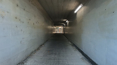 20221026_gx017127.mp4_snapshot_02.20_thumb.jpg