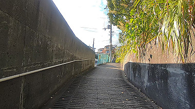 20221026_gx017127.mp4_snapshot_02.51_thumb.jpg
