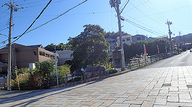 20221026_pa262303_thumb.jpg