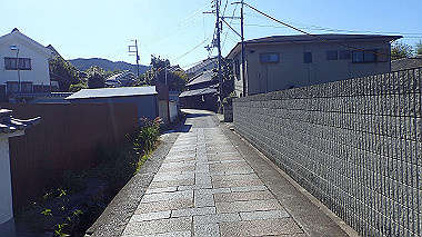 20221026_pa262307_thumb.jpg