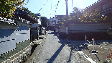 20221026_pa262309_thumb.jpg