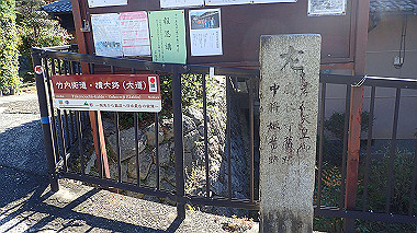 20221026_pa262310_thumb.jpg
