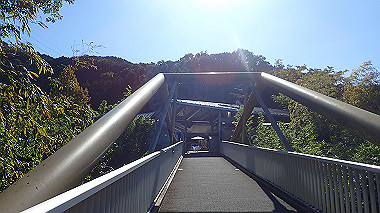 20221026_pa262317_thumb.jpg