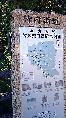 20221026_pa262328_thumb.jpg