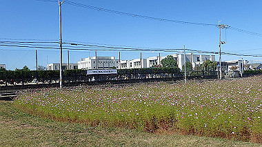 20221026_pa262359_thumb.jpg