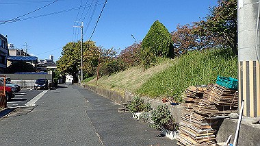 20221026_pa262383_thumb.jpg