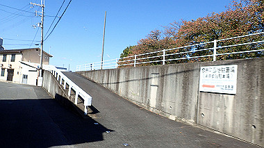 20221026_pa262385_thumb.jpg