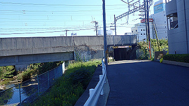 20221026_pa262387_thumb.jpg