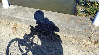 20221026_pa262392_thumb.jpg